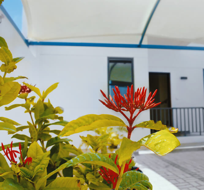 gallery-image-666x622-06