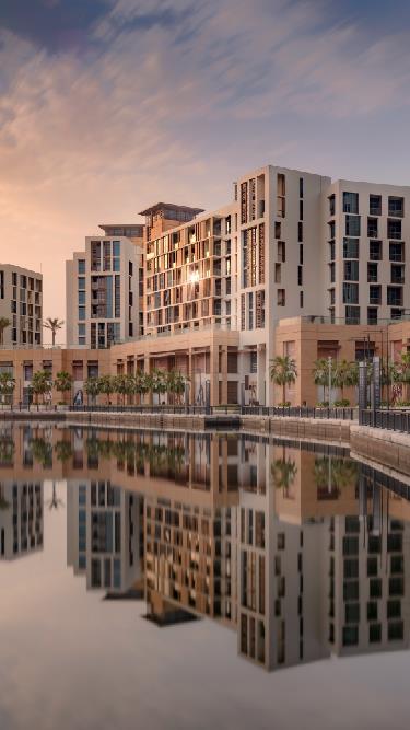 dr-website-banner_header