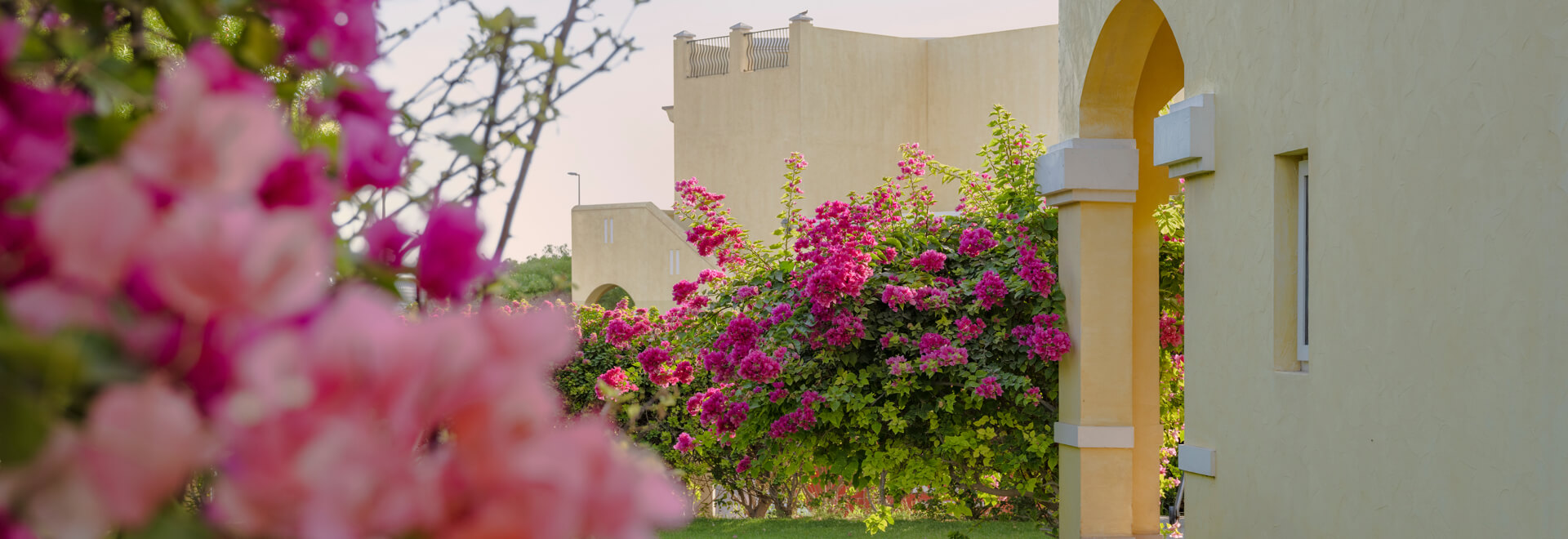 winter-ready-blog-hero-desktop