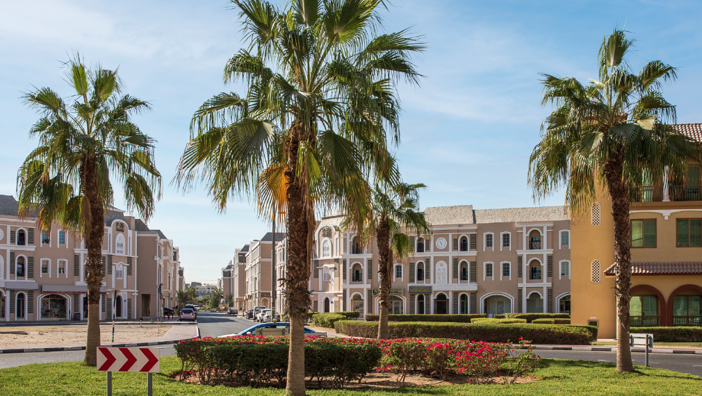 ic-gallery_1010x570_2